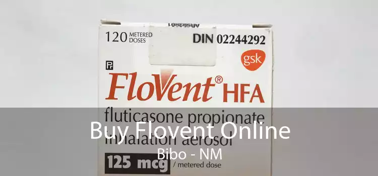 Buy Flovent Online Bibo - NM