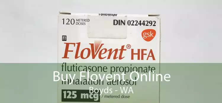 Buy Flovent Online Boyds - WA