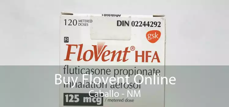 Buy Flovent Online Caballo - NM