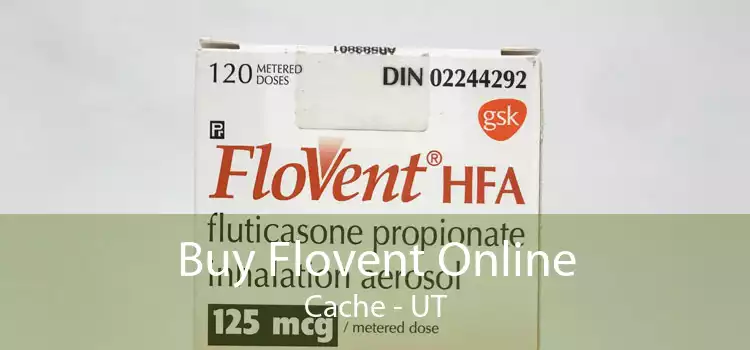 Buy Flovent Online Cache - UT