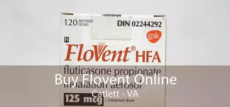 Buy Flovent Online Catlett - VA