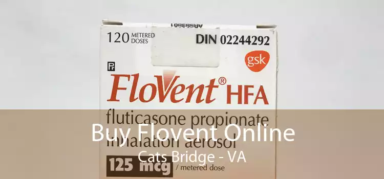Buy Flovent Online Cats Bridge - VA