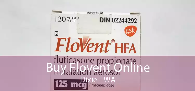 Buy Flovent Online Dixie - WA